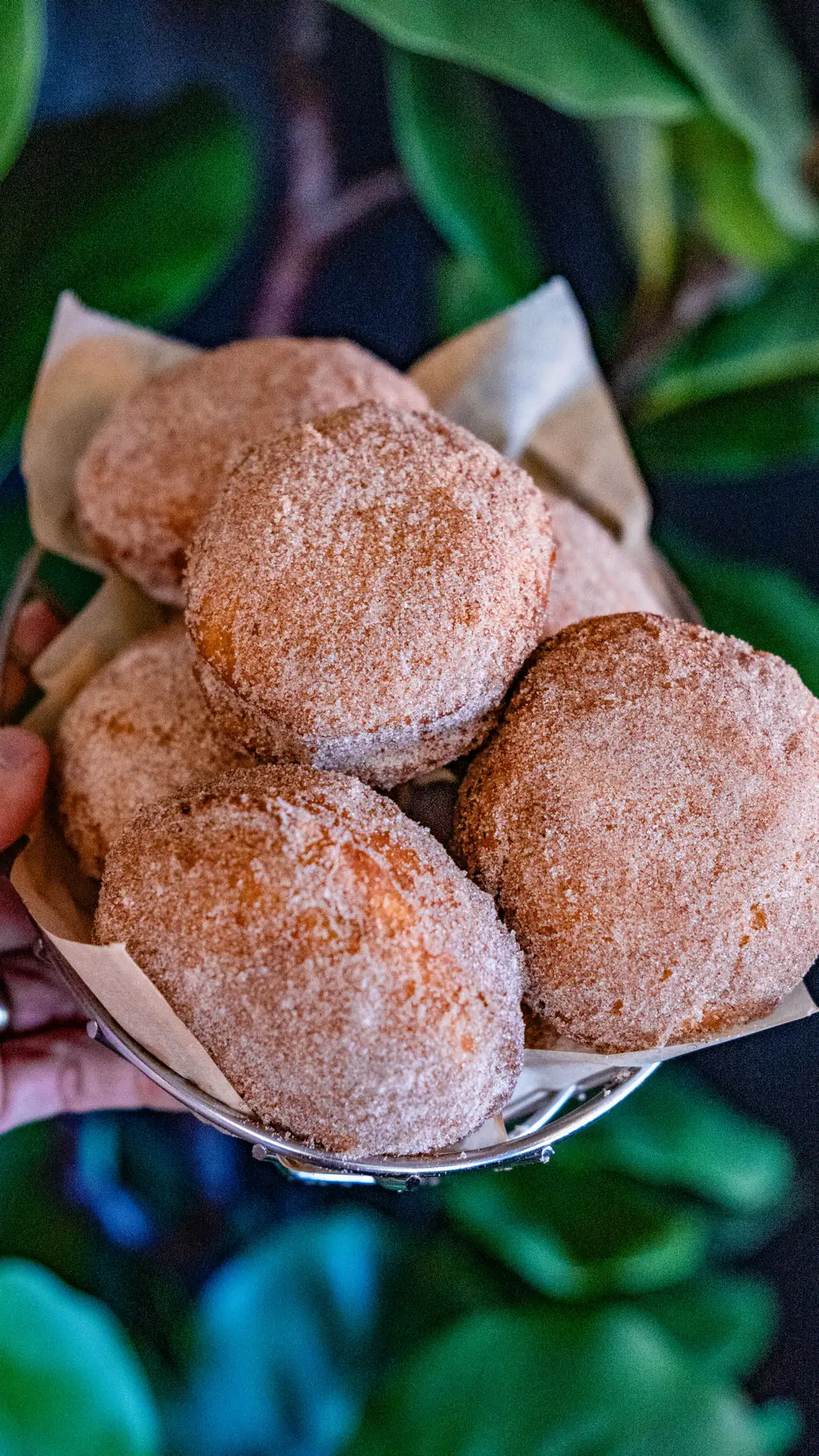 A basket of cinnamon-sugar mini malasadas from Mother Chorizo's