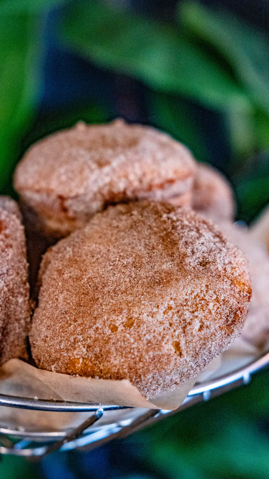 A basket of cinnamon-sugar mini malasadas from Mother Chorizo's